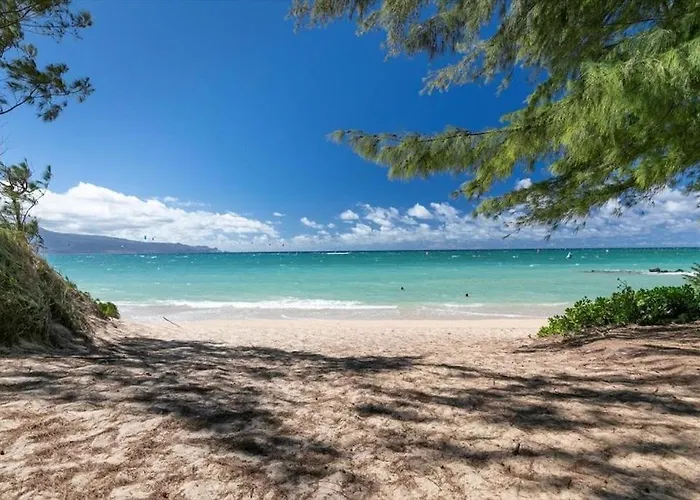 Unit 7 Maui Ohana Modern Studio